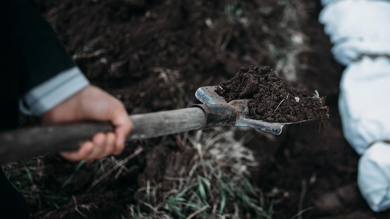 Mężczyzna miał zakopać psa (fot. Shutterstock/Nomad_Soul, zdjęcie ilustracyjne) Mężczyzna miał zakopać psa (fot. Shutterstock/Nomad_Soul, zdjęcie ilustracyjne)