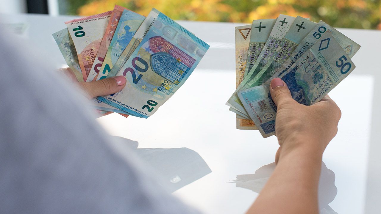 Poziom europejskiej płacy minimalnej miałby być różny w każdym państwie, ale nie mógłby być mniejszy niż 60 proc. przeciętnego wynagrodzenia w tym kraju (fot. Shutterstock/Quisquilia) Poziom europejskiej płacy minimalnej miałby być różny w każdym państwie, ale nie mógłby być mniejszy niż 60 proc. przeciętnego wynagrodzenia w tym kraju (fot. Shutterstock/Quisquilia)
