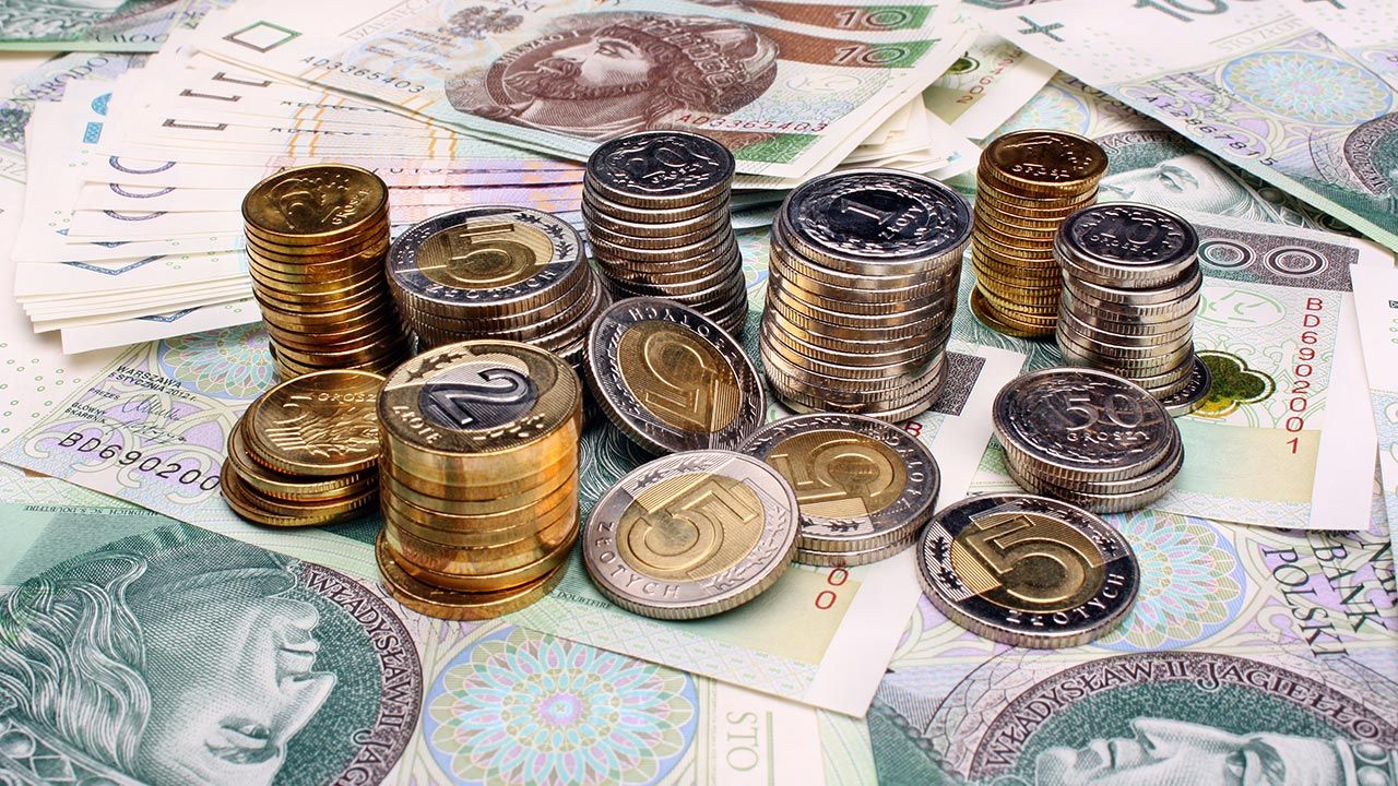 Polski złoty się umacnia (fot. Shutterstock/Adam J) Polski złoty się umacnia (fot. Shutterstock/Adam J)
