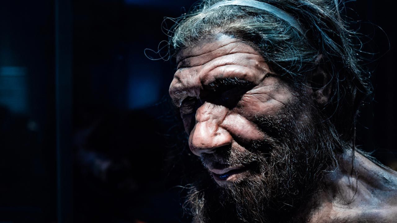 Archeolodzy odnaleźli ślady neandertalczyka w Iłży (fot. Shutterstock/Chettaprin.P) Archeolodzy odnaleźli ślady neandertalczyka w Iłży (fot. Shutterstock/Chettaprin.P)