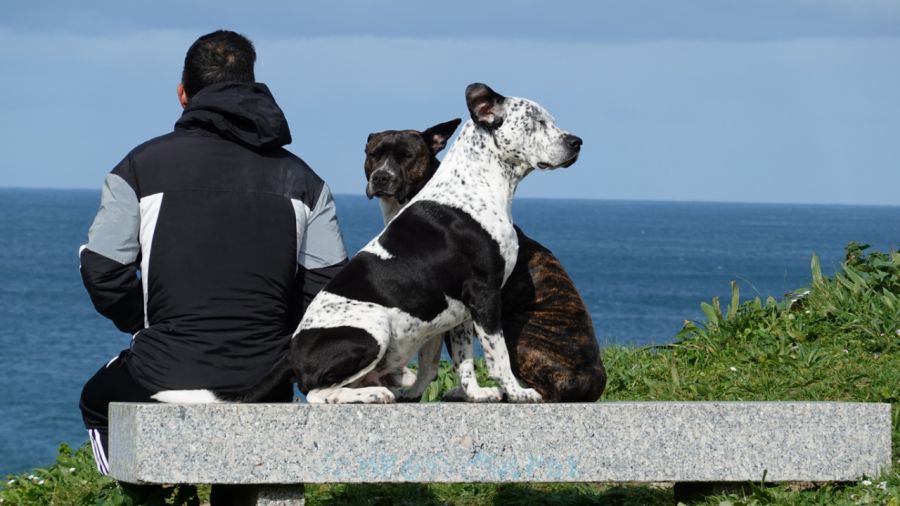 Niektórzy mówią o epidemii singlozy (Fot. Getty Images) 