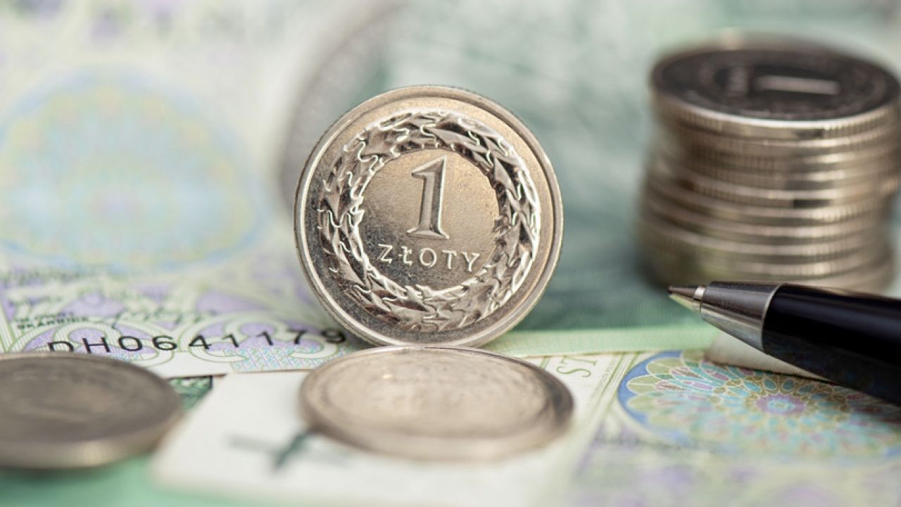 Kościński o przeniesieniu środków z OFE na IKE (fot. Shutterstock/Proxima Studio) Kościński o przeniesieniu środków z OFE na IKE (fot. Shutterstock/Proxima Studio)